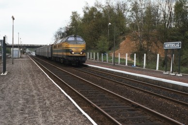 Winterslag - TH  82-2980 (2).jpg